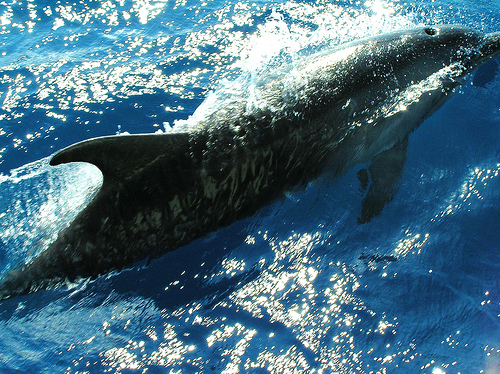 Costa Rica Explorer Vacation